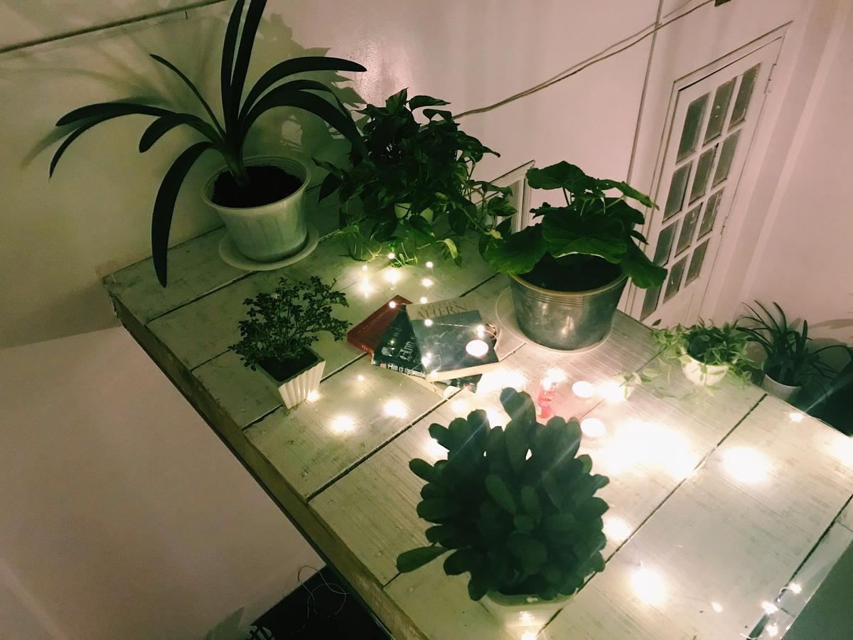 The Balcony Bnb Νταλάτ Εξωτερικό φωτογραφία